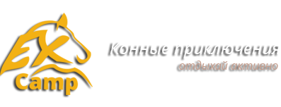 Конный дворик - конные прогулки, конный поход, выезд